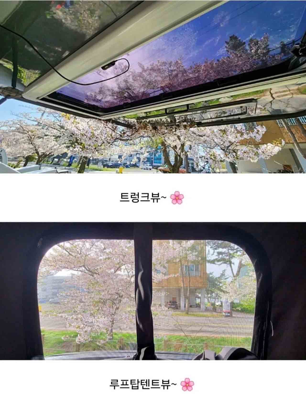 1280＿Screenshot＿20250418＿084554＿Naver_Cafe.jpg