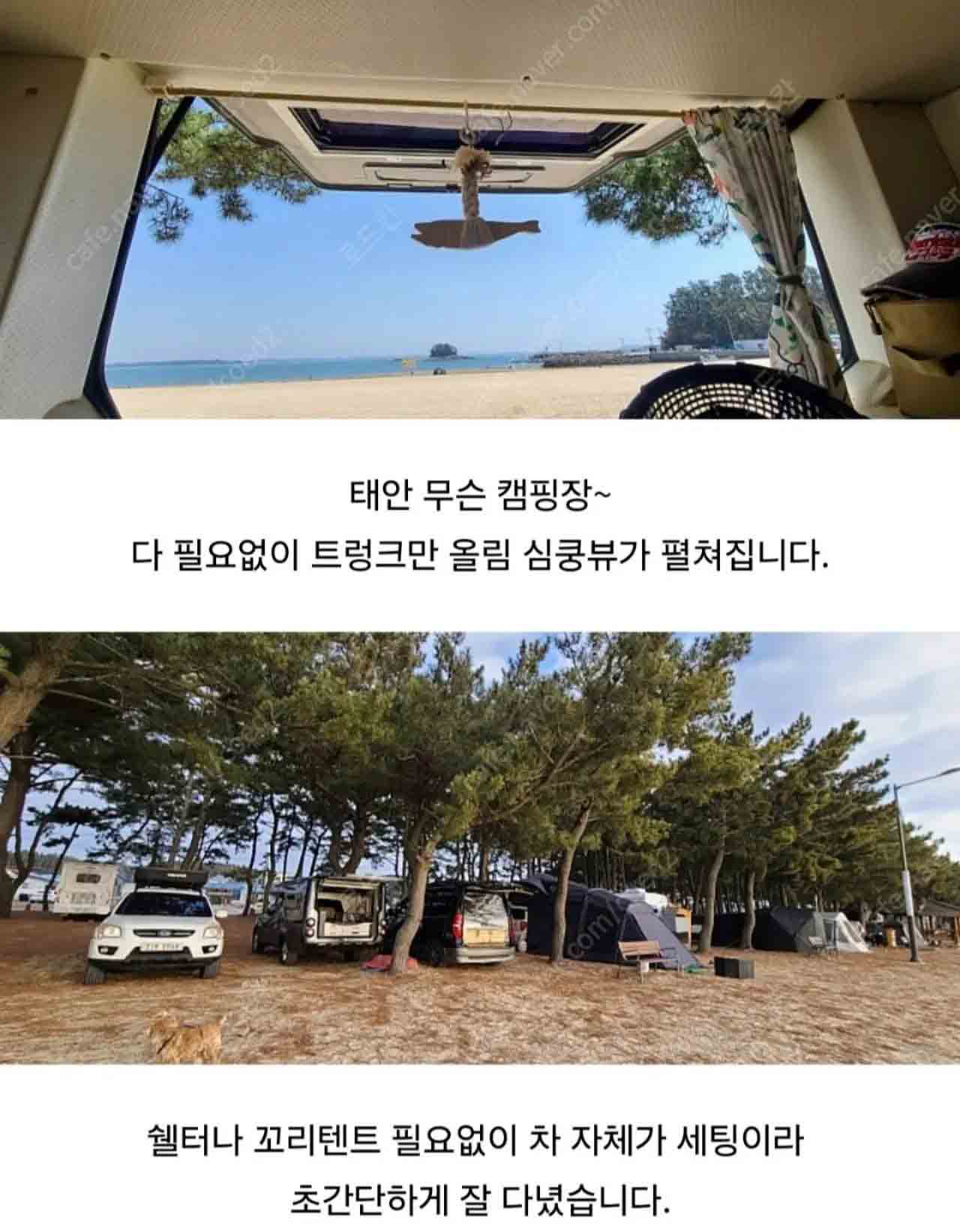 1280＿Screenshot＿20250418＿084302＿Naver_Cafe.jpg